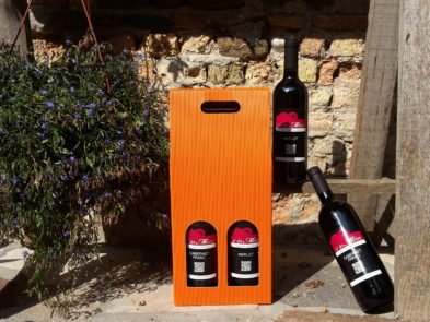 cabernet-franc-merlot-agriturismo-ca-dei-molini (2)