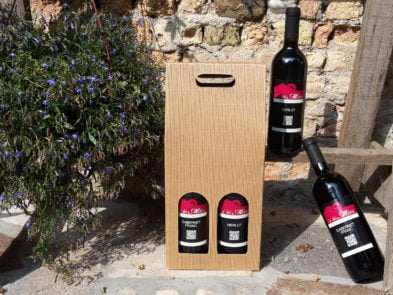 cabernet-franc-merlot-agriturismo-ca-dei-molini (3)